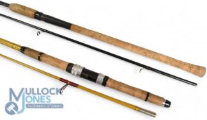 Shimano Technium Zander 300 carbon spinning rod - 3m 2pc, CW 10-30g, 21