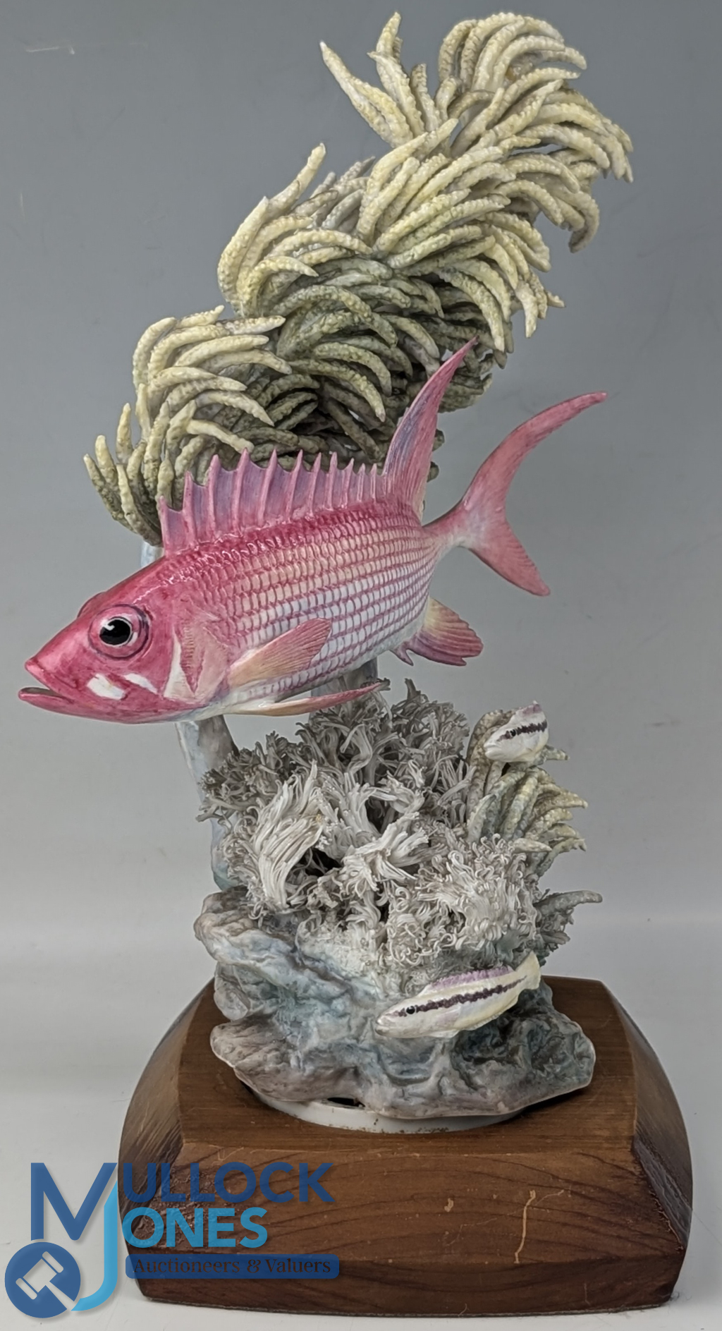 Worcester Royal Porcelain Model of a Squirrel Fish, on stand #29cm tall, No.40 in 1961 by R Van
