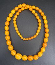 GRADUATED BUTTERSCOTCH AMBER BEAD NECKLACE the largest bead 2.4cm long, approximately 86cm long