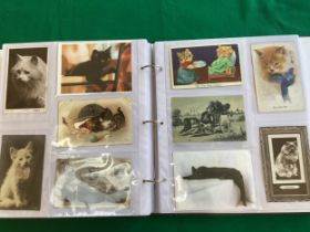 An album containing approximately 220 postcards of cats – nearly all standard size but up to half