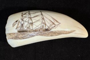 A Whale's Tooth Scrimshaw of an American Whaling Ship, fully-rigged with three masts and flying