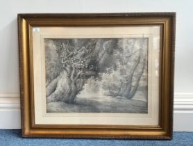 A 19th Century School country landscape study, depicting ivy-clad leaning tree with more trees