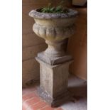 A stone garden pedestal urn, 73cm high .