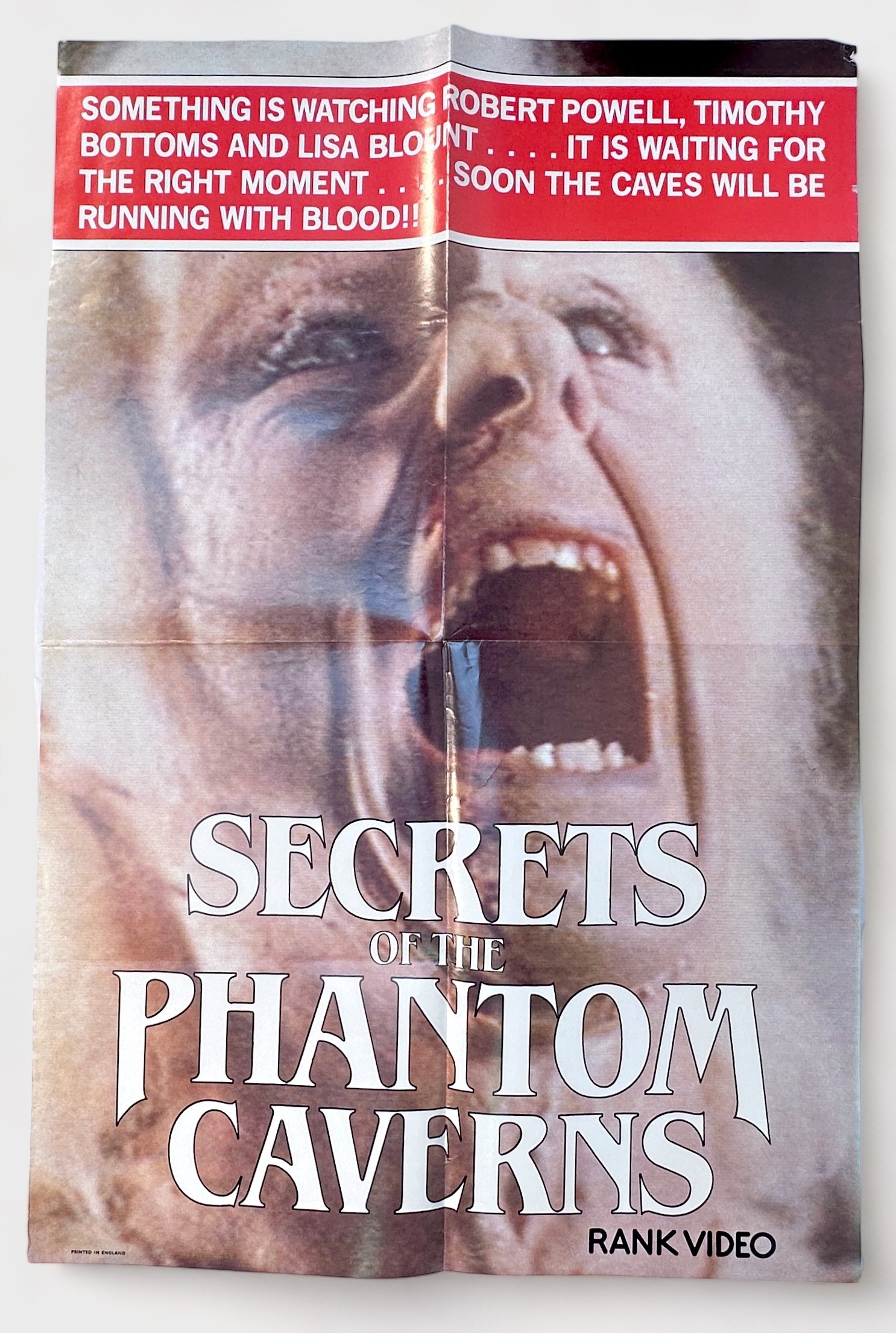 Nineteen assorted Horror film posters for UK and German audiences, many for 1980s home videos, - Image 13 of 20