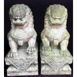 A Pair of Chinese Carved Large Stone Shishi (Fo Dogs/ Temple Dogs), the female dog with paw