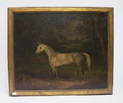 A 19th century English school study of a dapple grey horse in a wooded landscape, unsigned, oil on