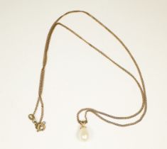 A 9ct yellow gold chain with a solitaire cultured pearl pendant, weighs a total of 2.5 grams.