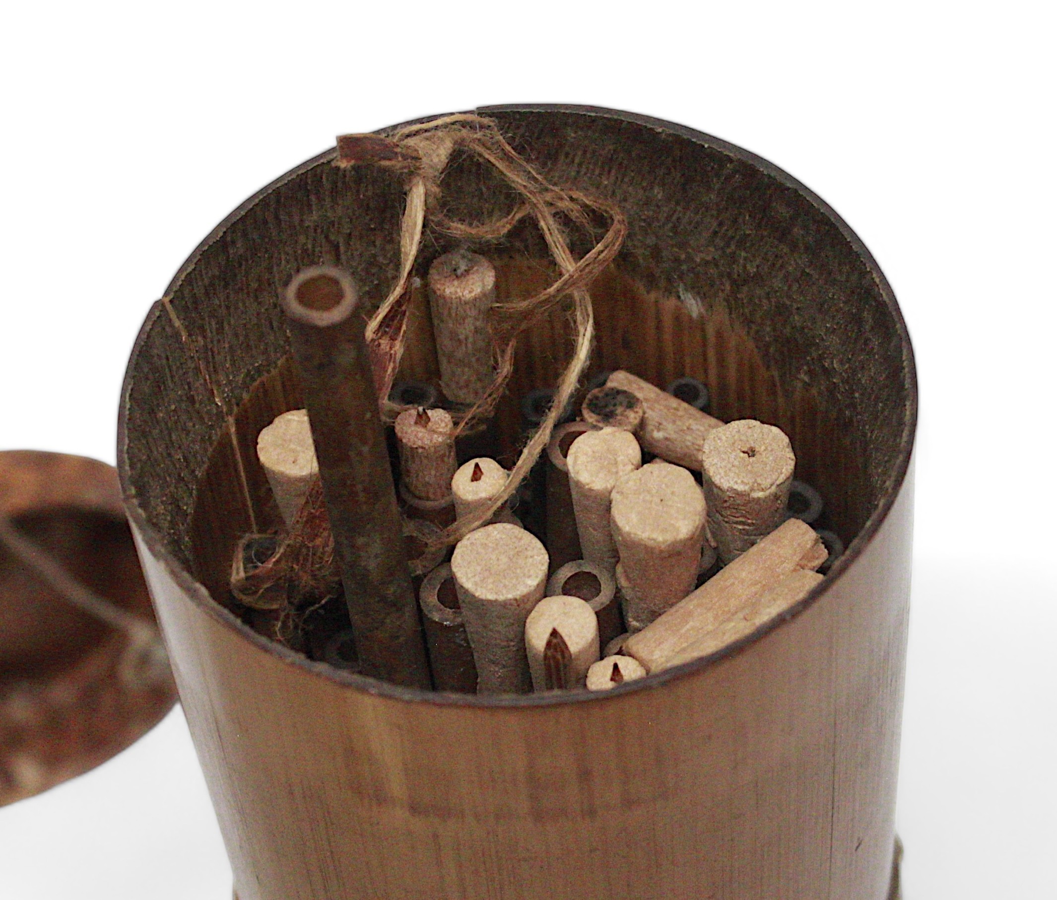Two blow pipes with a collection of darts in bamboo containers and a curved dagger with sheath, - Image 2 of 8