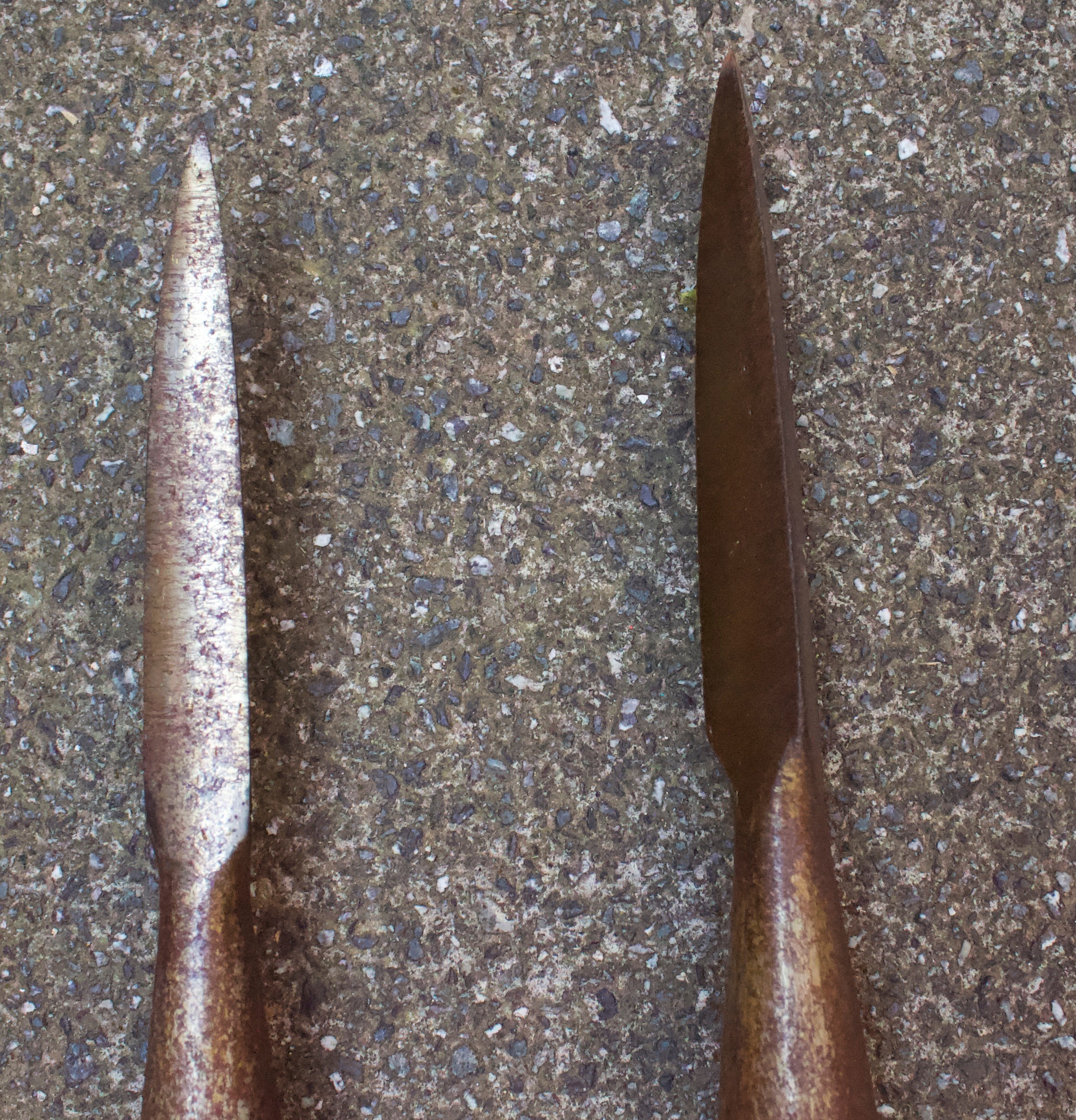 A Pair of late 19th / early 20th Century Cavalry Lances, with triangular-section iron tips fixed - Image 3 of 4