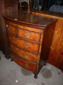 A Mahogany/Walnut cross-banded topped bow fronted Chest of three long and two short Drawers having