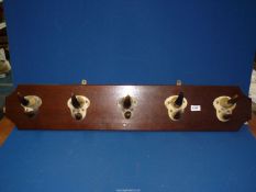 A Bull horn coat rack (horns mounted on a wooden base), reg. no. 82527, 40 1/2" x 7 1/2".