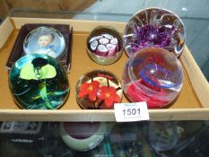 Six colourful paperweights to include; portrait, millefleur, two flower, bubble and swirl.