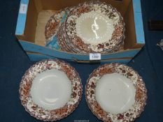 A quantity of Copeland Late Spode including 'May' meat plate, dinner plates and soup bowls.