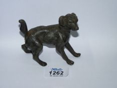 An unusual cast metal pepper pot in the form of a dog, 3 1/4" high x 5" long.