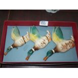 A set of three china flying duck wall plaques, boxed.