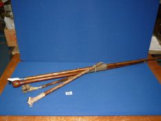 A quantity of walking sticks including Antler handle and sheep dog head plus one with horse head