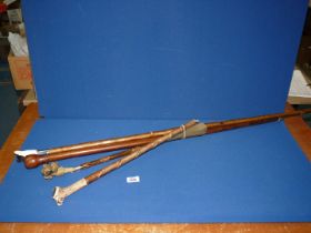 A quantity of walking sticks including Antler handle and sheep dog head plus one with horse head