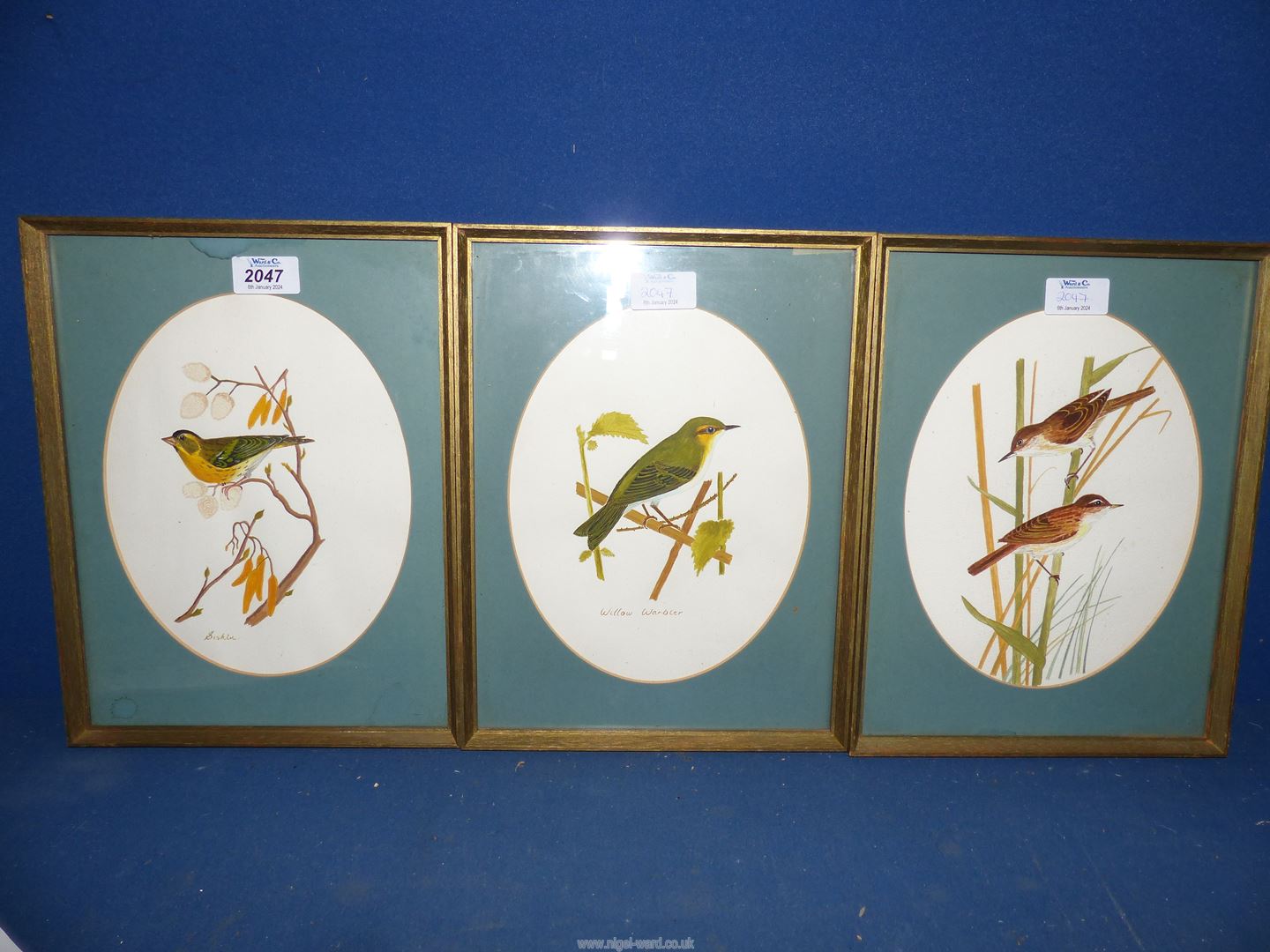 Three framed and oval mounted watercolours of birds including Siskin, Willow Warbler, etc.