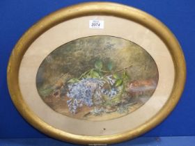 An oval framed and mounted Watercolour of a floral and fauna landscape, no visible signature,