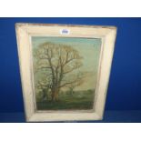 A framed Oil on board of Parklands, signed lower right 'Makinson',