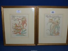 Two Tiger Lilies prints for 'Flora's Feast' by the artist Walker Grane, 12'' x 14 1/2''.