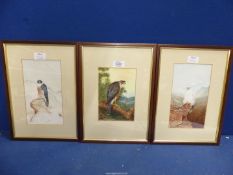 Three framed and mounted Watercolours including a Peregrine Falcon,
