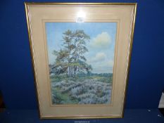 A framed and mounted Watercolour of a country landscape, signed lower right M.S.