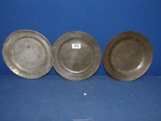 Three pewter plates, with marks to back.