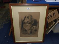 A large wooden framed and mounted charcoal Drawing of two dogs 'Dignity and Impudence',