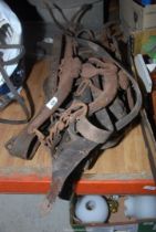 A quantity of old cart Horse tack and harnesses etc.