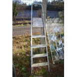 A Five-rung Aluminum Step-ladder.