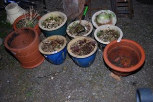 A quantity of glazed and terracotta Plant pots.