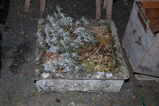 A square concrete Planter with Shrubs.