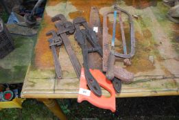 Bolt Croppers, Stilsons, and Saw.