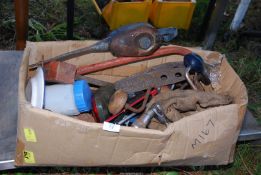 A box of Brace and bit Wood Drills, Rasps, Oil cans, various Tools, etc.