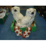 Two pairs of Mantle Spaniels;