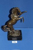 A Cold cast bronze Horse, approx. 10 1/2'' tall.
