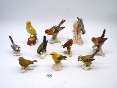 Ten Goebel bird figures, Robin, Wren, etc.