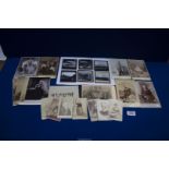 Three Australian cabinet Photographs by Matthew and Poul Poulsen of Brisbane,