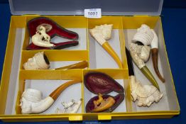 A yellow segmented display/storage box containing a range of antique meerschaum pipes.