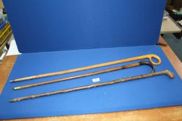 Three walking sticks including one with horn handle,