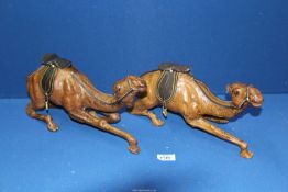 A pair or vintage Turkish leather Camels with saddles and reins, 14" x 7".