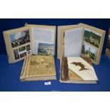 Four hobby made albums and contents of postcards of Herefordshire, Churches, carts, etc.