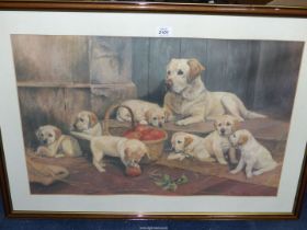A large framed and mounted Print titled 'Mischief Makers' signed lower right 'Richard Britton',