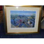 A large framed Print titled 'Lavender Valley' by M.M.