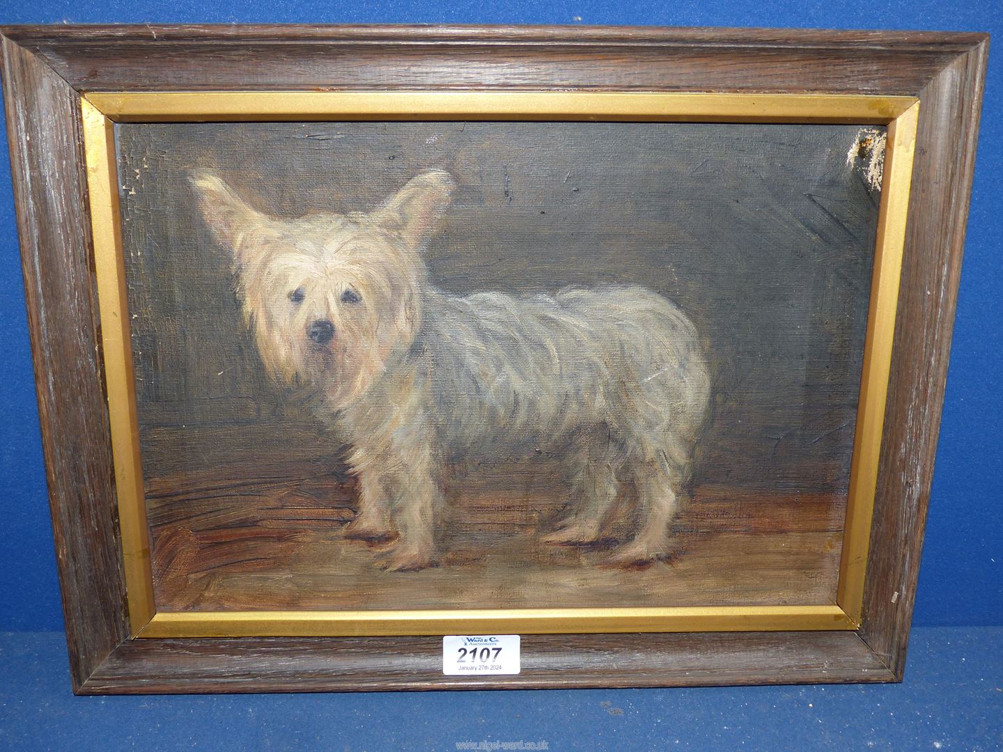 A wooden framed Oil on canvas depicting a Terrier, no visible signature, 16" x 12 1/4".