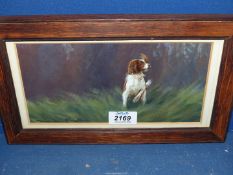A small framed Oil painting, signed lower left 'Terrence Macklin',
