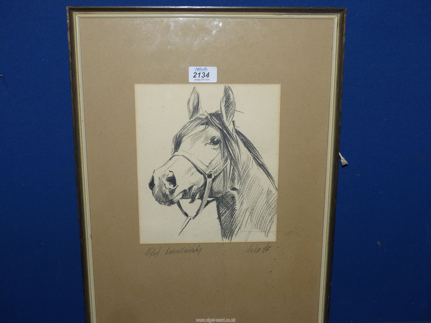 A crayon sketch of a Horse, signed.