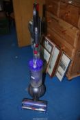 A Dyson light ball 'Animal' vacuum.