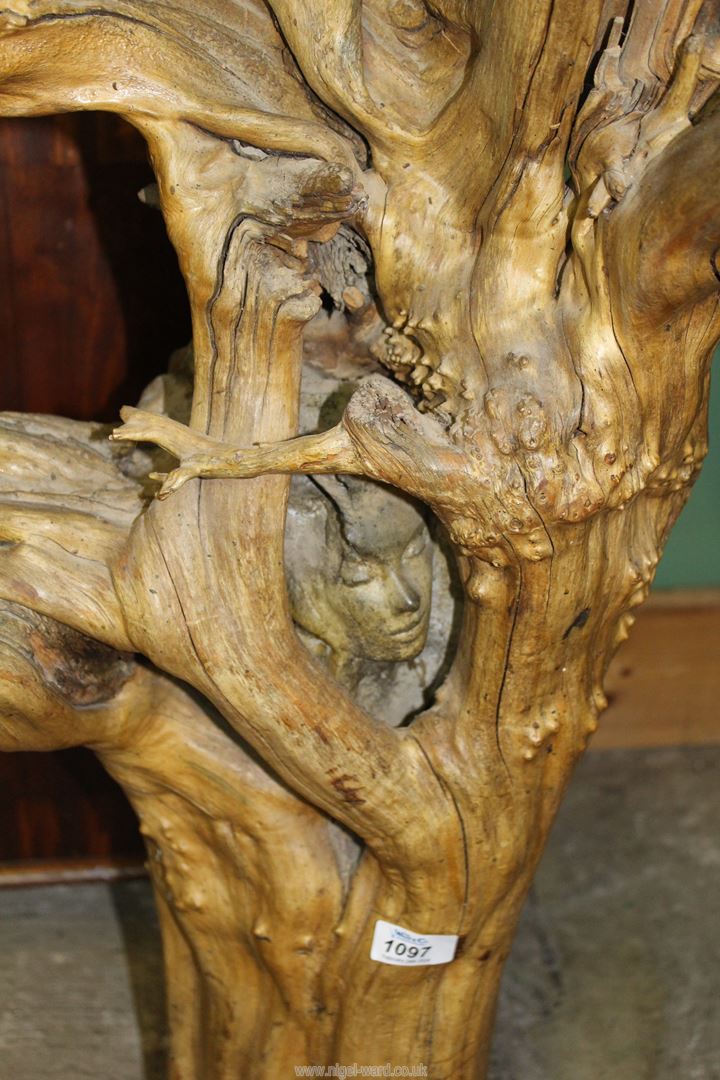 A large piece of driftwood with a carved face of a woman peeping through a gap in the trunk, - Image 2 of 2